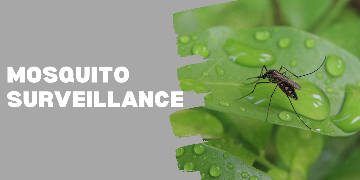 WITS UNIVERSITY JOINS THE FIRST OBSERVATORY MOSQUITO SURVEILLANCE NETWORK IN AFRICA